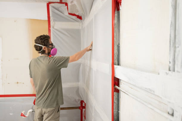  Yuba City, CA Mold Removal Pros