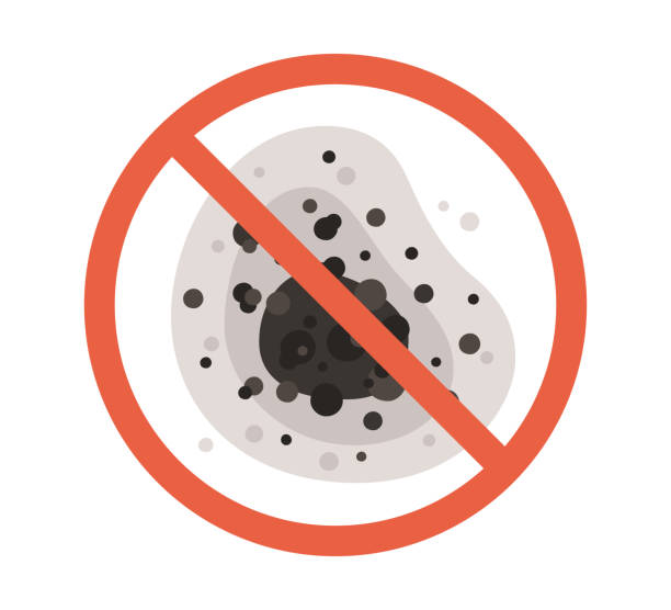 Best Real Estate Mold Inspection  in Yuba City, CA